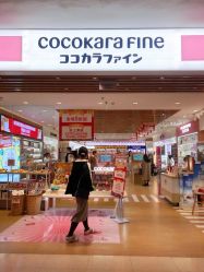 -cocokarafine可开嘉来
