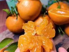 -江杨农产品批发市场