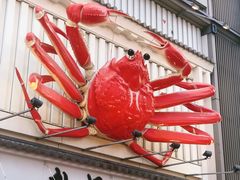 -蟹道乐(道顿堀本店)