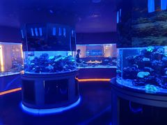 -上和臻品中国菜(花园街店)