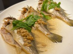-山东老家(科韵分店)