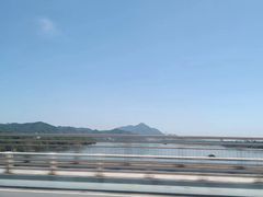 -浔味·山屿湖·正宗淳牌全鱼宴老字号