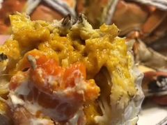 -黄记大闸蟹专卖店·活蟹·醉蟹