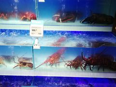-盒马鲜生(枣园路店)