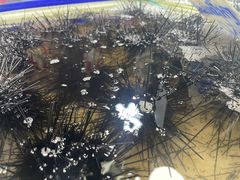 -兰坡海鲜市场