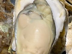 桑拿蠔-天宝食坊·啫啫煲大排档(西华路店)