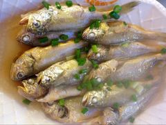 小黄鱼-沈家门海鲜夜排档(东港店)