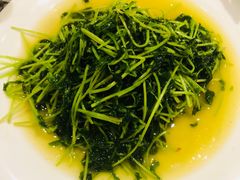 清炒豆苗-孔乙己(后海店)
