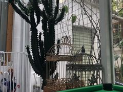 -拾壹cafe·工作室