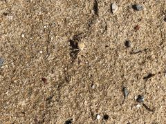 -西涌国际滨海旅游区