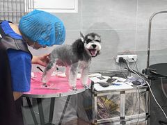 -宠福鑫康馨动物医院·骨科·眼科