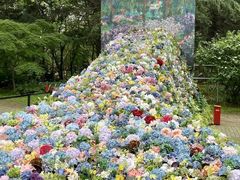 -上海共青森林公园