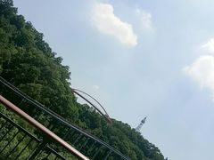 -金鸡山公园