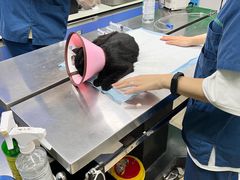 -瑞派动物医院·猫专科·至诚(江南中分院)