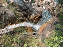 -九龙江国家森林公园