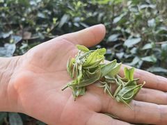 -宝岩生态观光园