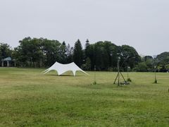 -福建鲤鱼洲酒店