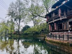 -雅安上里古镇