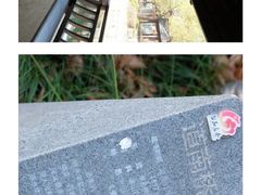 -黎里古镇