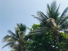 -三亚蜈支洲岛旅游区