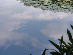 -旅马餐厅(茅家埠店)