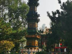 -沈阳植物园