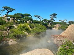 -罗红摄影艺术馆