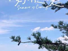 -洛阳白云山景区