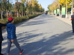 -廊坊文化艺术中心