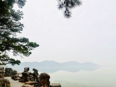 -东湖落雁景区
