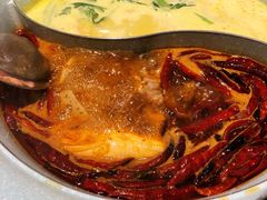 -青瓷火锅料理(西单大悦城店)