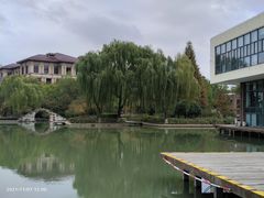 -青枫公园