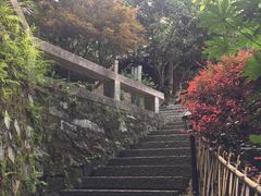 -韬光茶庵
