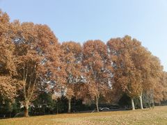 -河南省黄河迎宾馆