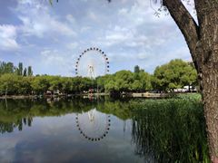-青城公园