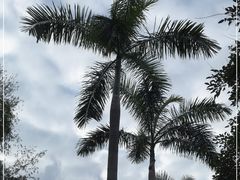 -广州市白云山风景名胜区