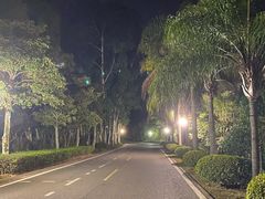 -福建鲤鱼洲酒店