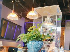 -blue frog蓝蛙(长泰广场店)