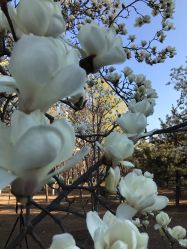 -大望京儿童游乐场