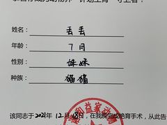 -谐和益家动物医院·免疫绝育·血液透析·宠保定点医院(高新伊藤分院)