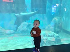 -福州罗源湾海洋世界旅游区