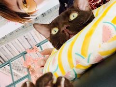 -喵屿·大理花园猫咖