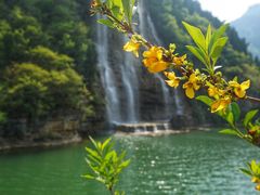 -黄花溪