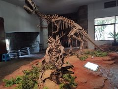 -自贡恐龙博物馆