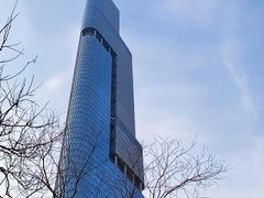 -紫峰大厦