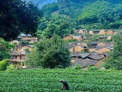 -杨家堂村