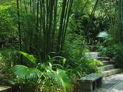 -人民公园(罗湖区)