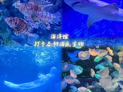 -正佳极地海洋世界