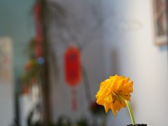 -竹子咖啡bamboo coffee