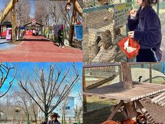 -水上乐园·欢乐世界